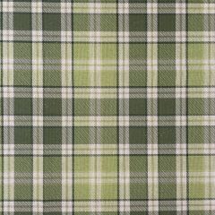 Discover Direct - Cotton Linen Look Pop Art Highland Tartan, Fern Green