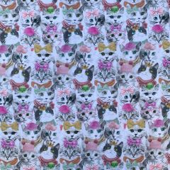 Printed Jersey Fabric Digital Sassy Kitty